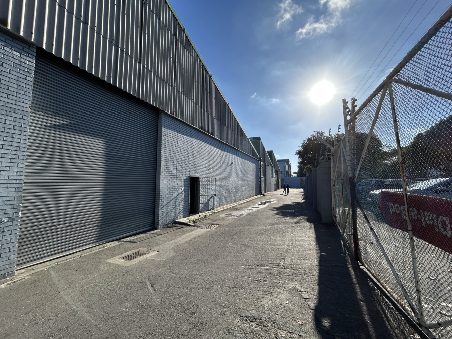 To Let Commercial Property for Rent in Epping Industrial Western Cape
